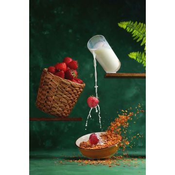 Test Powder