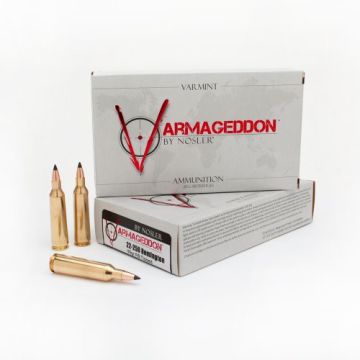 22-250REM 55GR FB VARMAGEDDON
