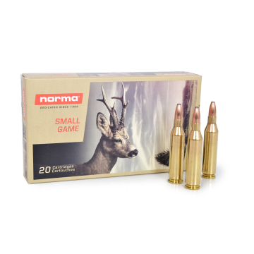 22-250REM 55GR PRO HUNTER ORYX