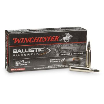 223REM 55GR BALLISTIC ST