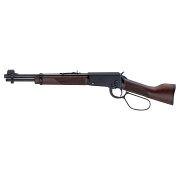 22WMR H1 MARES LEG