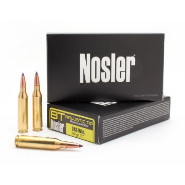 243WIN 90GR BALLISTICTIP