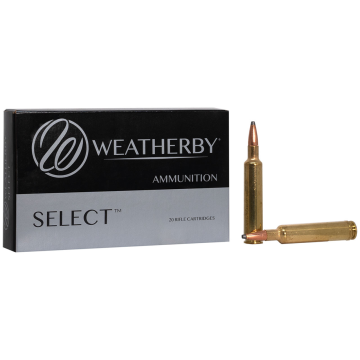 30-378WBY 180GR INTERLOCK
