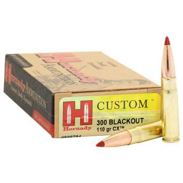 300AAC 110GR CX
