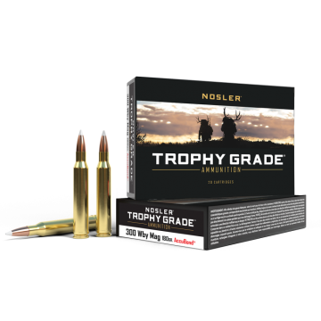 300WBY 180GR ACCUBOND