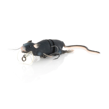 3D RAT
