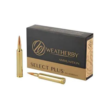 6.5-300WBY 156GR ELITE HUNTER