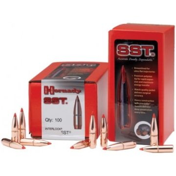 6.5MM .264 140GR SST