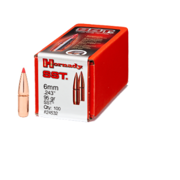 6MM .243 95GR SST