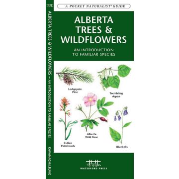 WP: ALBERTA TREES  WILDFLOWERS