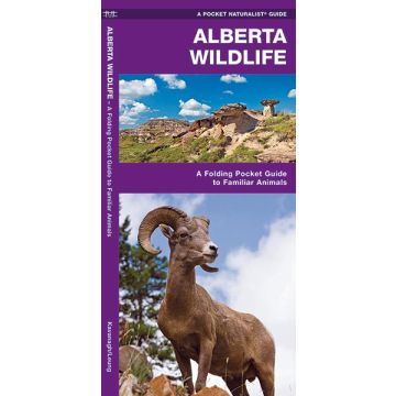 WP: ALBERTA WILDLIFE