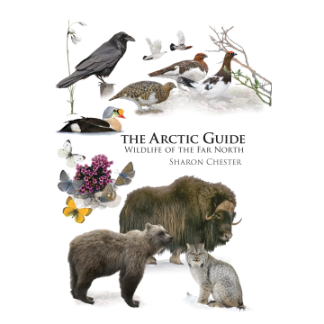 ARCTIC GUIDE: WILDLIFE OF THE