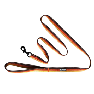 BACKTRACK LEASH