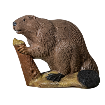 BEAVER - IBO