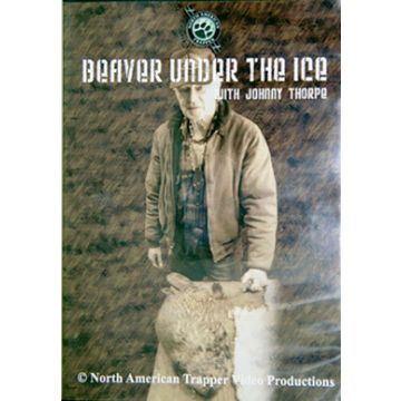 BEAVER UNDER ICE