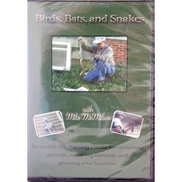 BIRDS, BATS AND SNAKES