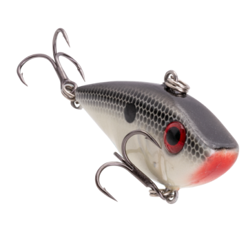 BITSY SHAD