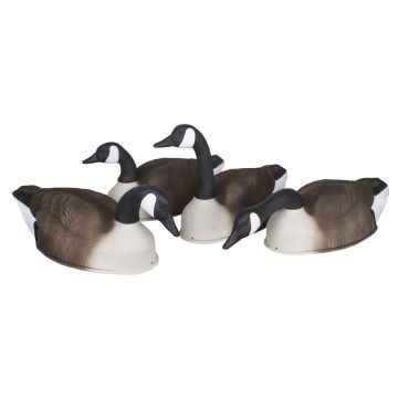 CANADA GOOSE-SHELL-4PK