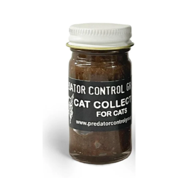 CAT COLLECTOR