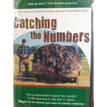 CATCHING NUMBERS