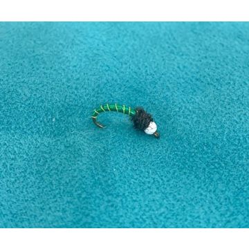 CHIRONOMID