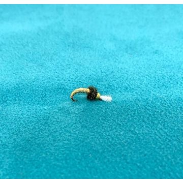 CHIRONOMIDS