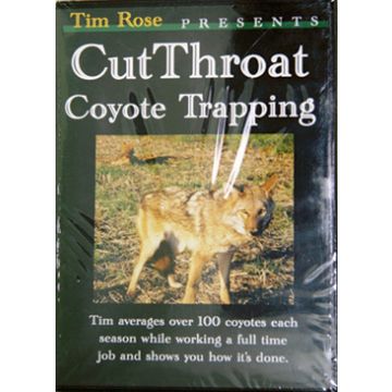 CUT THROAT COYOTE TRAPPING