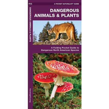 WP: DANGEROUS ANIMALS & PLANTS