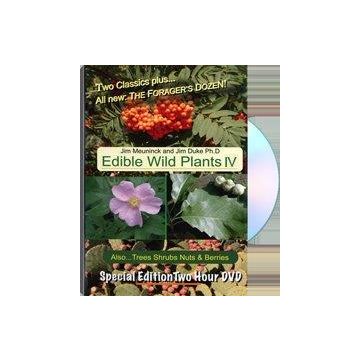 EDIBLE WILD PLANTS IV