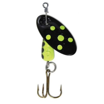 FLUORESCENT SPOTTED SPINNER