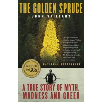 GOLDEN SPRUCE