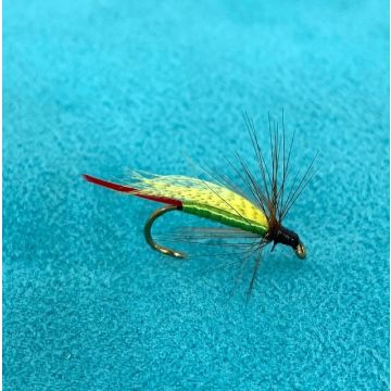 GREEN DRAKE