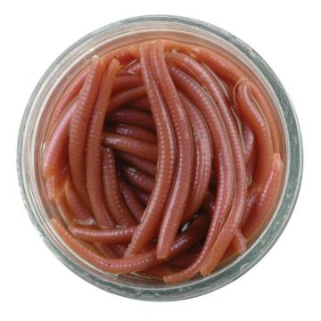 GULP ALIVE ANGLE WORM 1"