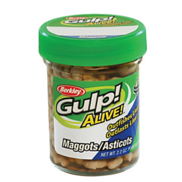 GULP ALIVE MAGGOTS