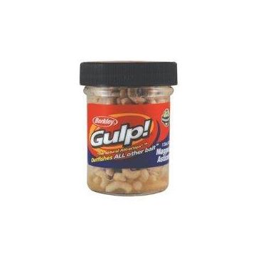 GULP MAGGOTS