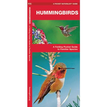 WP: HUMMINGBIRDS
