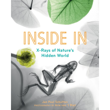 INSIDE IN