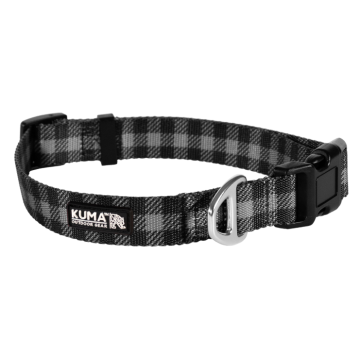 LAZY BEAR DOG COLLAR