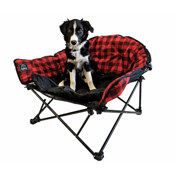 LAZY DOG BED