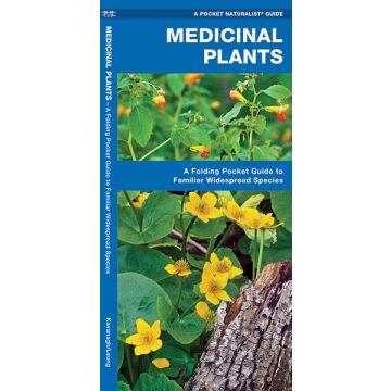 WP: MEDICINAL PLANTS