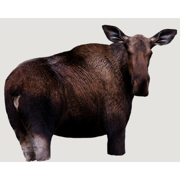 MOOSE II MOOSE DECOY