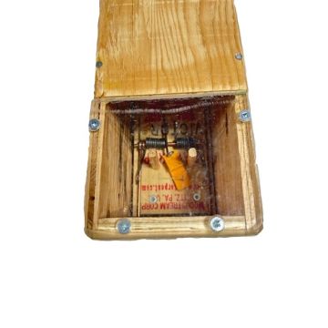 ONE WAY WEASEL TRAP W/ WINDOW