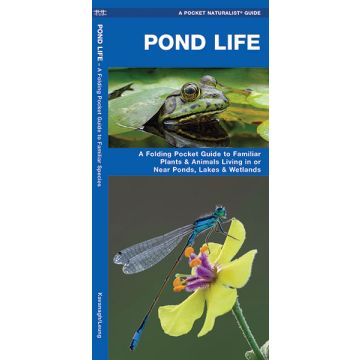 WP: PONDLIFE
