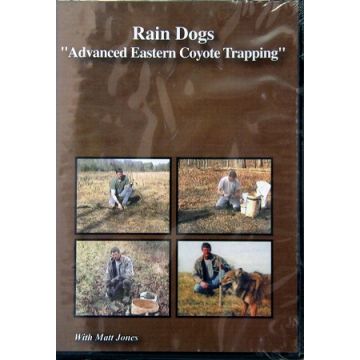 RAIN DOGS