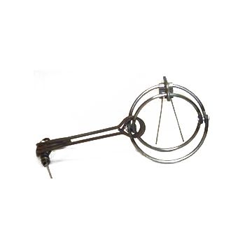 RBG #40 ROUND BODY