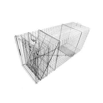RIGID DOG LIVE TRAP
