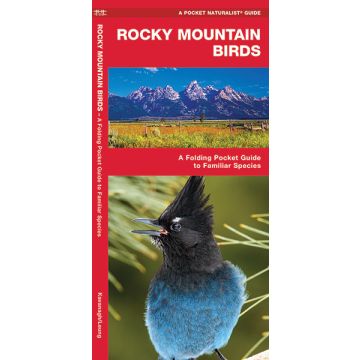 WP: ROCKY MOUNTAIN BIRDS