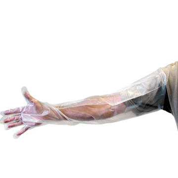 SHOULDER LENGTH GLOVES