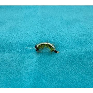 SHRIMP