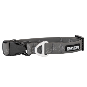 SOGGY DOG COLLAR